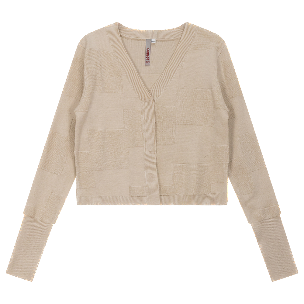 GIN-WB3CPT4879 BROWN TOP